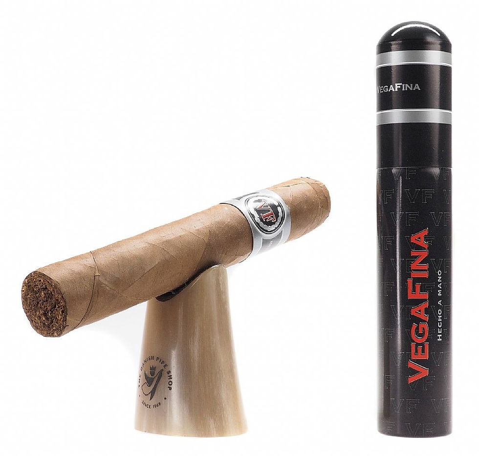 Miniatura: Vegafina Fortaleza 2 Robusto Tubo F2 20