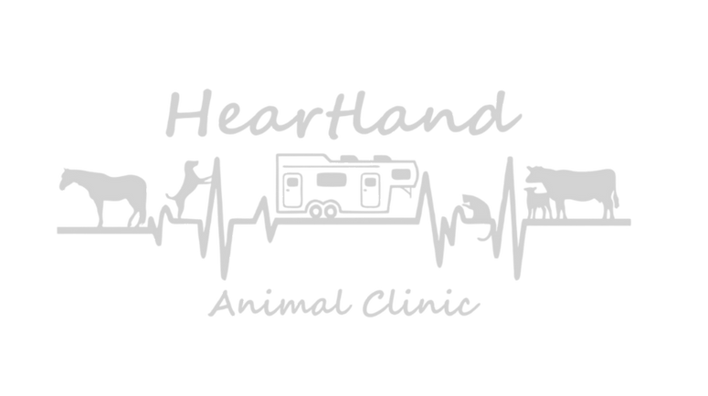 Logo with Trailer 1-Photoroom_edited_edi