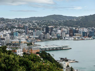 50% of Wellington Properties Under-Rented