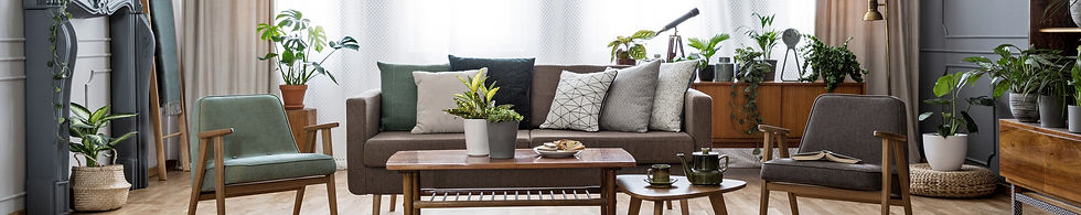 Modern Living Room_edited.jpg