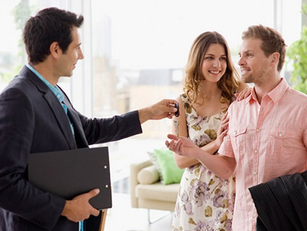 Ultimate Guide to Trade Me Listings