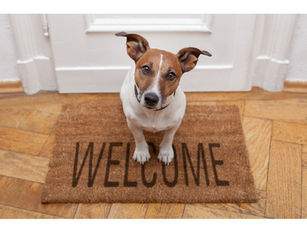 Understanding the New Pet Bond Rules: Key Updates for Landlords (Effective 1 December 2025)