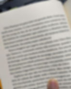 Trecho do livro Eu “odeio” Chico Buarque de Holanda e outros contos (Editora Patuá), de Fernando Mundim Veloso