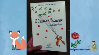 Livro O Pequeno Príncipe Visita São Paulo - Resenha