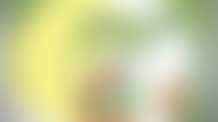 Resenha – A Rosa Cor-de-boto, de Paulo Mauá [Parceria]