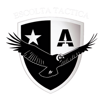 LOGO copia_edited.png