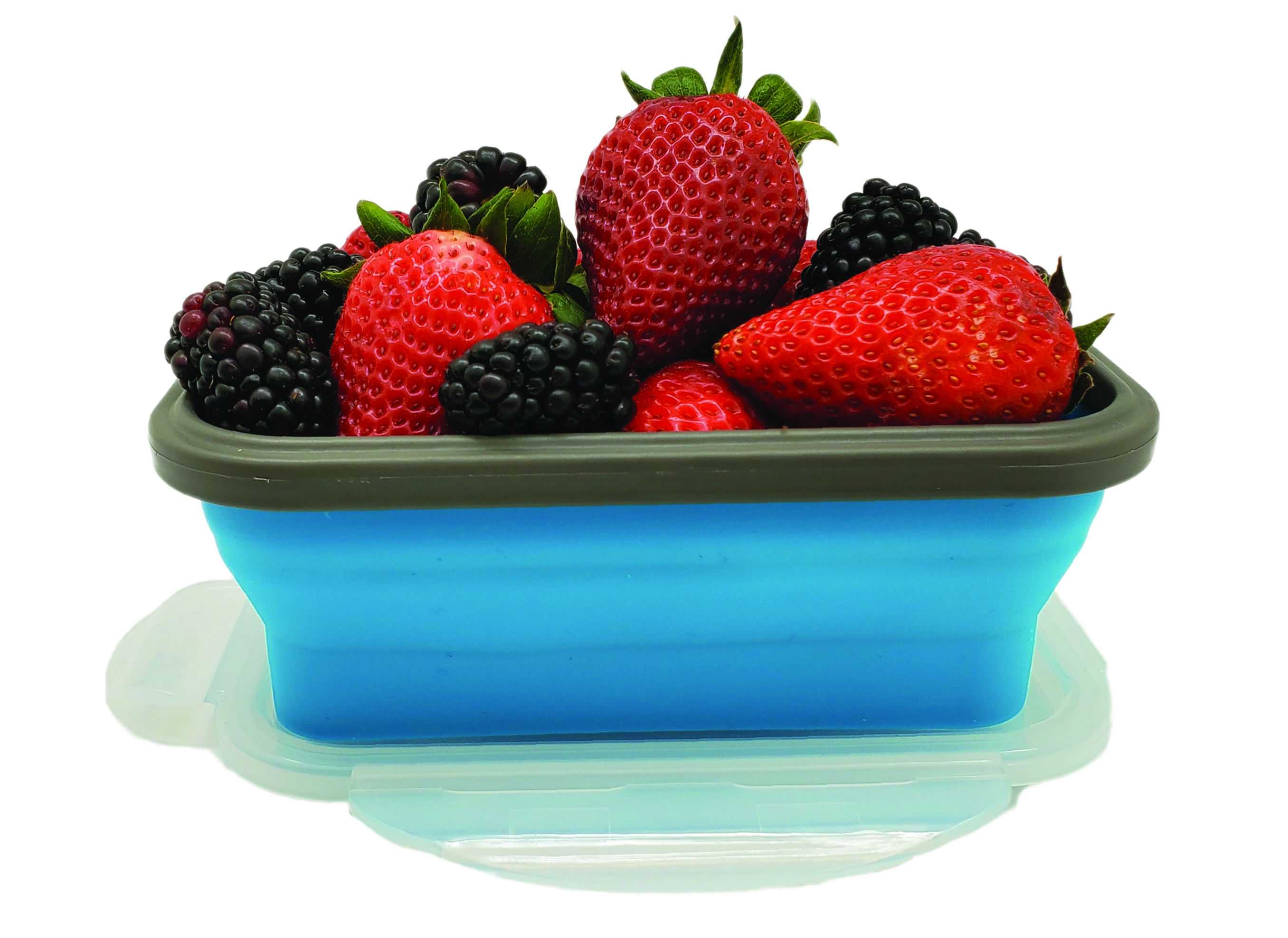 Kolorae Collapsible Storage Container- Small