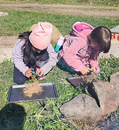 20251009_112402_edited.jpg