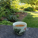 lotus teacup.jpg