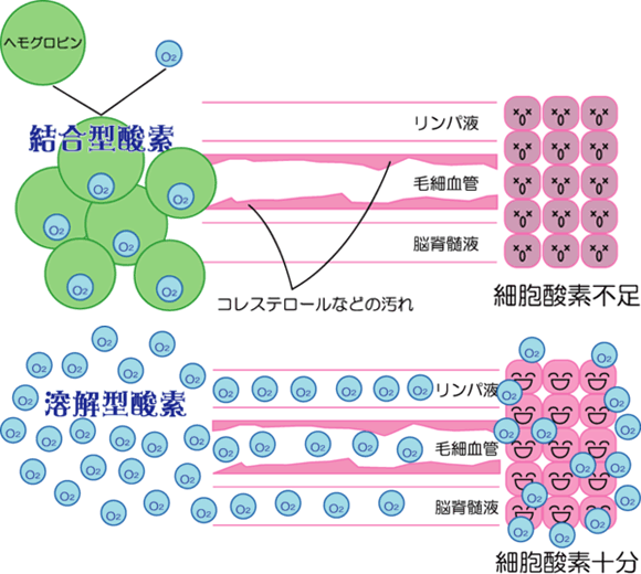 高気圧酸素カプセル説明