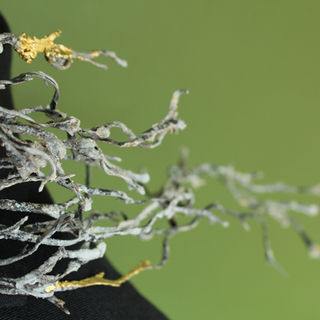 A close up detail of a  wave boa made of dried, black seaweed. The seaweed appears caught like a wave in the wind and  crashes over the neck and shoulder of a jacket. The seaweed is covered in a heavy salt crust, some of which form large crystals. At a few points on the boa, the seaweed is is gilt with fluttering gold leaf. 