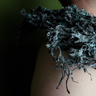 A pale-skinned man stands facing right against a green background. You can see only his neck and shoulders. He is bare chested and wears an epaulette made of dried, black seaweed on his right shoulder. The seaweed looks as if it is captured in a current. The seaweed is covered in a heavy blue salt crust, some of which forms large crystals. At the bottom of the epaulette, looking down the man's arm, is a rat skull. 