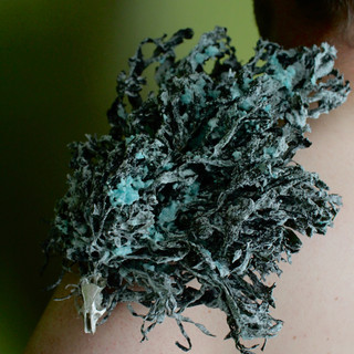 A pale-skinned man stands facing right against a green background. You can see only his neck and shoulders. He is bare chested and wears an epaulette made of dried, black seaweed on his right shoulder. The seaweed looks as if it is captured in a current. The seaweed is covered in a heavy blue salt crust, some of which forms large crystals. At the bottom of the epaulette, looking down the man's arm, is a rat skull. 