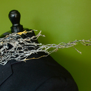 A grey suit jacket on a dressmaker's dummy  stands facing left against a green background. Resting around the front of the  jacket's neck is a wave boa made of dried, black seaweed. The seaweed appears caught like a wave in the wind and  crashes over the neck and shoulder to the back. The seaweed is covered in a heavy salt crust, some of which form large crystals. At a few points on the boa, the seaweed is is gilt with fluttering gold leaf. 