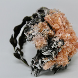 A bracelet made of dried, black seaweed, salt crust and food colouring sits on a white background. The seaweed curls around to make a thin bracelet shape with a mass of tendrils on top. The black seaweed has a light dusting of salt all over it. On the top of the bracelet, sits an oval of very-heavy salt crust. The crust is made of salt crystals, salt-encrusted seaweed  salt crystals died with food colouring