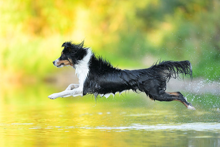 Tierfotografie Stuttgart
Olga Zeeb