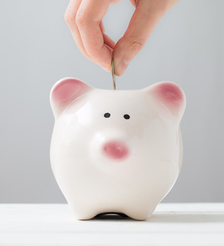 piggy bank.jpeg