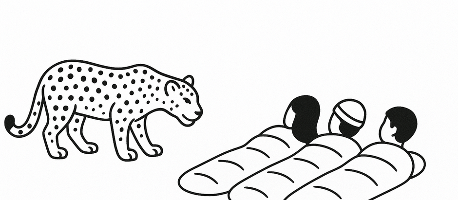 012: Om te stap saam met 'n luiperd