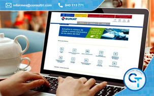 Nuevas disposiciones para el llevado del Registro de Ventas e Ingresos en forma electrónica