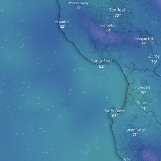 Windy.comで見たMonterey湾の風予報