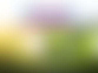 Swing for the Seniors Golf Challenge