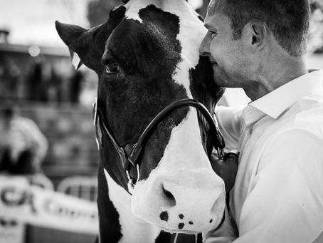 Un concours, une passion, des émotions : retour sur une journée pas comme les autres..