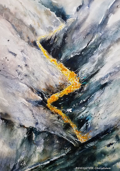 5.19.(50.70)Les couleurs du Ladakh WIX.jpg