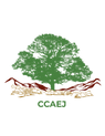 CCAEJ-Vector (HighRes) 1 (1).png