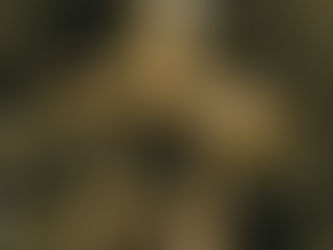 Kerstwens voor onze gemeenschap