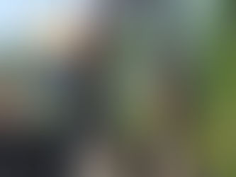 Crane Mat Recycling: Reliable Hauling and Disposal