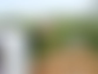 Utility Poles: The Backbone of Reliable Energy Infrastructure