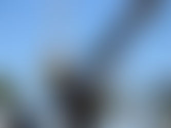 The Blackwood Standard: Safe Transport of Ductile Iron Poles