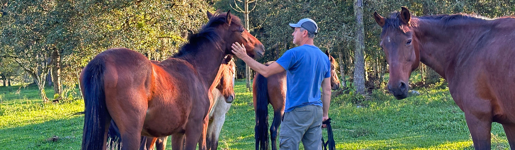 CAVALOS E MONTANHAS