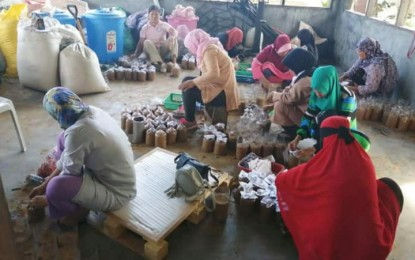 Kababaihan ng Bangsamoro Sinasanay sa Produksyon ng Kabute