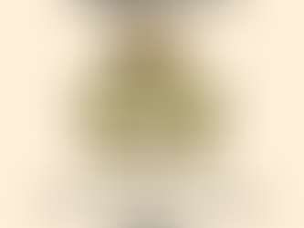 Shamrock wearing a detective hat