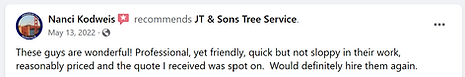 JT & Sons Tree Service