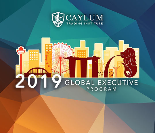 2019-08 gep_singapore (wix).jpg