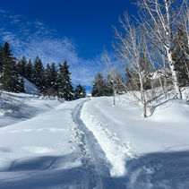 Snowy Getaway to Steamboat Springs