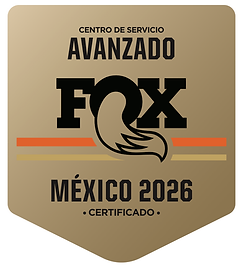 N_INSIGNIA_AVANZADO_2026.png