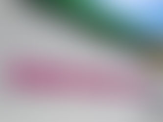 Estado de Roraima é um dos mais perigosos para as mulheres, revelam pesquisas