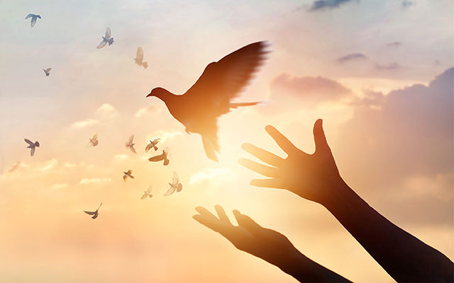 BLOG | ayellowbrickroad