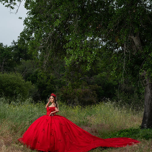 fairy theme quince dress Fairytale Princess Quinceanera Dress 2026 3D Floral Contrasting Colors Charro Mexican Quince Sweet 15/16 Birthday Party Gown for 15th Girl Drama