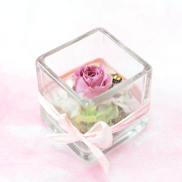 Cube ベリーピンク2