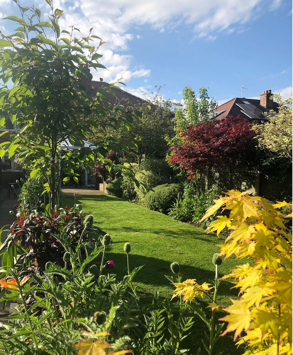 A picture of a surburban back garden surrounded by lush green planting and trees