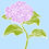 Thumbnail: Hydrangea, greeting card