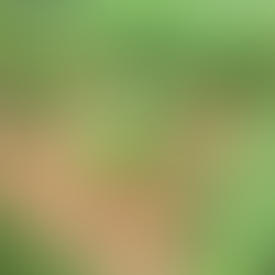 Grass clipping mulch on garden beds