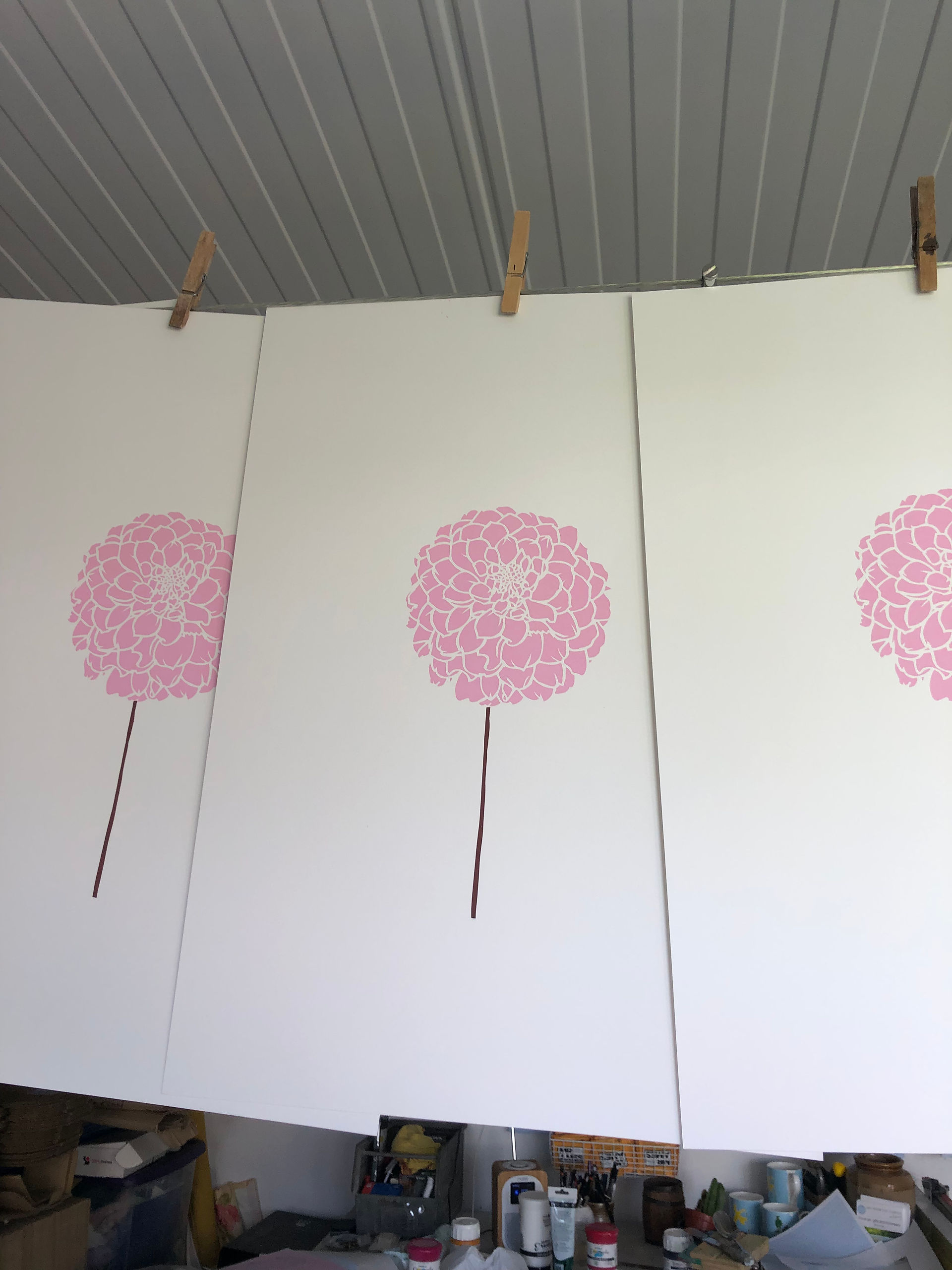 Pink Dahlia flower prints hanging up to dry