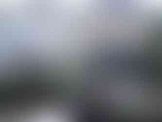 people digging in a garden