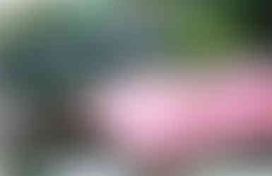 A bowl of crisps on a pink dining table in the garden with lavender planted behind