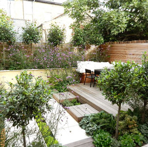 A garden planted with bay trees with decking and paving creating different levels 
